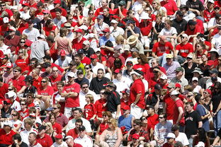 星空体育最新下载-体育新闻中心快讯榜单刷新，体育新闻 体坛快讯